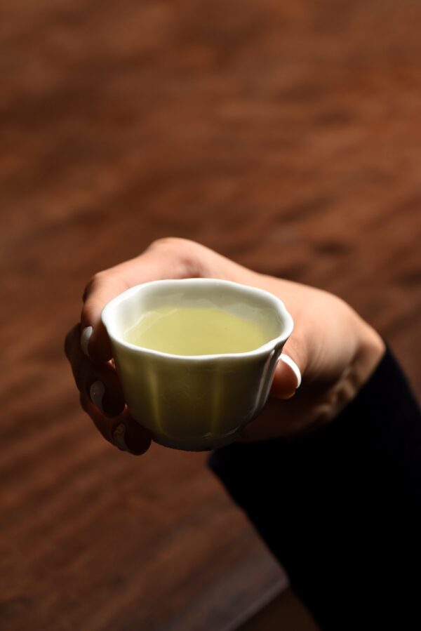 明 德化玉蘭杯 - 德化窯 茶杯 玉蘭花 明代