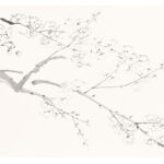 梅花清夢 長煌 書畫 Calligraphy Chinese Painting Poetry Poem