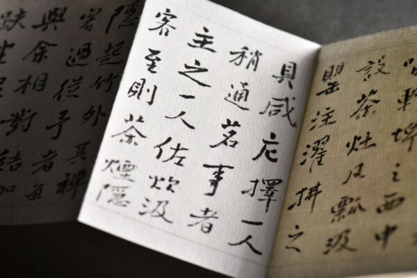 茶寮記套印 芙蓉石博古鈕 長邊款 印存冊頁 ChineseSealStone SoftStone Seal Chinese