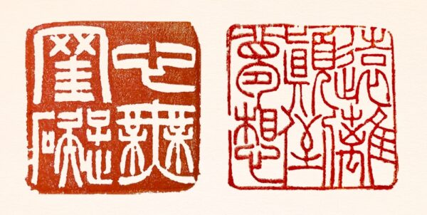 般若波羅蜜多心經 對印 杜林石 長邊款 ChineseSealStone SoftStone Seal Chinese