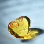 蕭凱中 琥珀 金琥珀 ChineseSealStone SoftStone Seal Chinese Amber