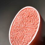 蕭凱中 ChineseSealStone SoftStone Seal Chinese